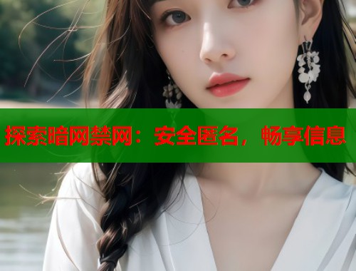 探索暗网禁网：安全匿名，畅享信息  第2张