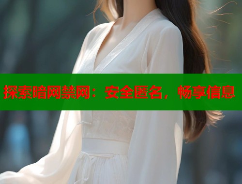 探索暗网禁网：安全匿名，畅享信息