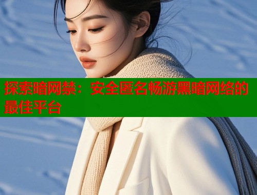 探索暗网禁：安全匿名畅游黑暗网络的最佳平台