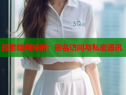 探索暗网绿洲：匿名访问与私密通讯