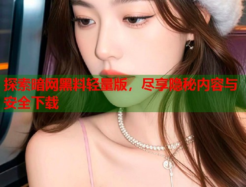 探索暗网黑料轻量版，尽享隐秘内容与安全下载  第2张