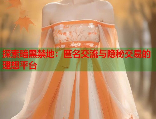 探索暗黑禁地：匿名交流与隐秘交易的理想平台