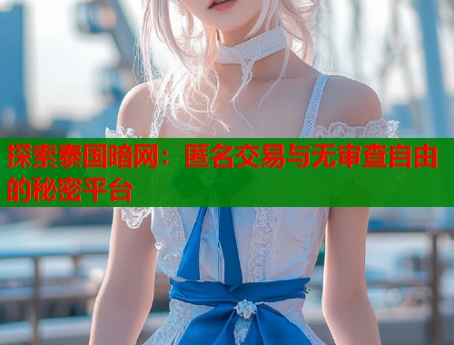 探索泰国暗网：匿名交易与无审查自由的秘密平台