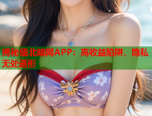 揭秘缅北暗网APP：高收益陷阱，隐私无处遁形