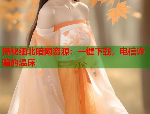 揭秘缅北暗网资源：一键下载，电信诈骗的温床  第2张