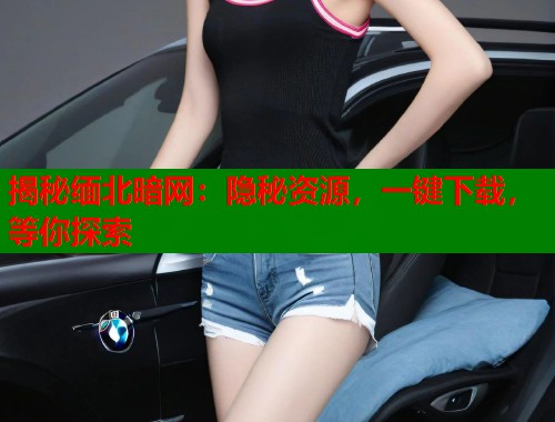 揭秘缅北暗网：隐秘资源，一键下载，等你探索