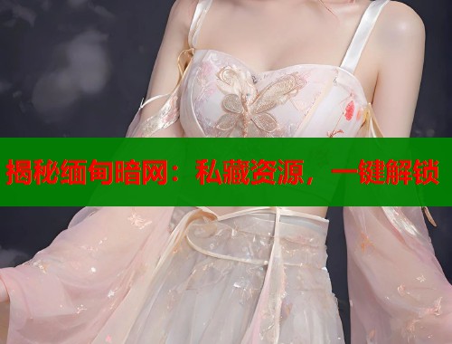 揭秘缅甸暗网：私藏资源，一键解锁  第2张