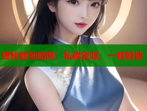 揭秘缅甸暗网：私藏资源，一键解锁