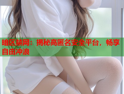 暗区禁网：揭秘高匿名安全平台，畅享自由冲浪  第2张