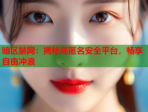 暗区禁网：揭秘高匿名安全平台，畅享自由冲浪