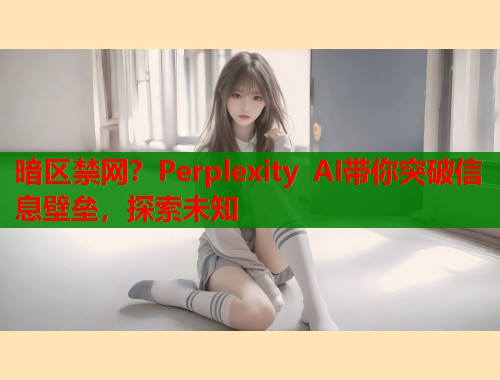 暗区禁网？Perplexity AI带你突破信息壁垒，探索未知