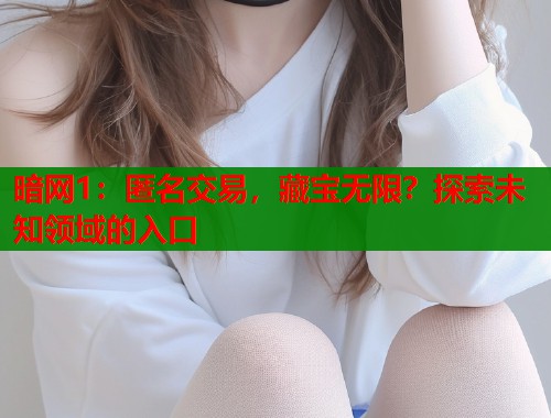 暗网1：匿名交易，藏宝无限？探索未知领域的入口  第2张