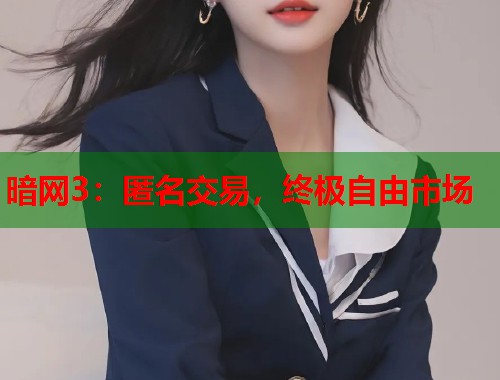 暗网3：匿名交易，终极自由市场  第2张