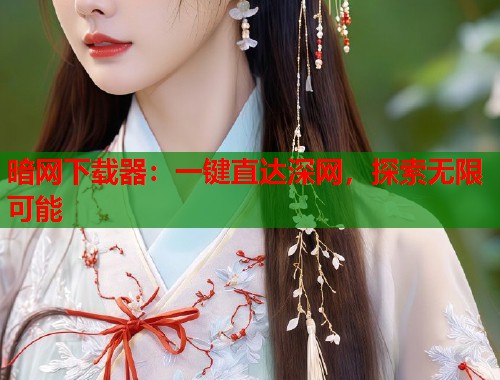 暗网下载器：一键直达深网，探索无限可能  第2张