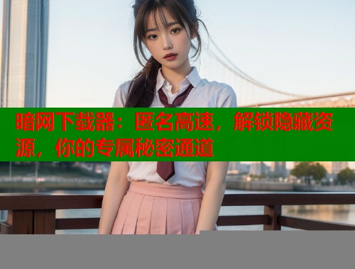 暗网下载器：匿名高速，解锁隐藏资源，你的专属秘密通道