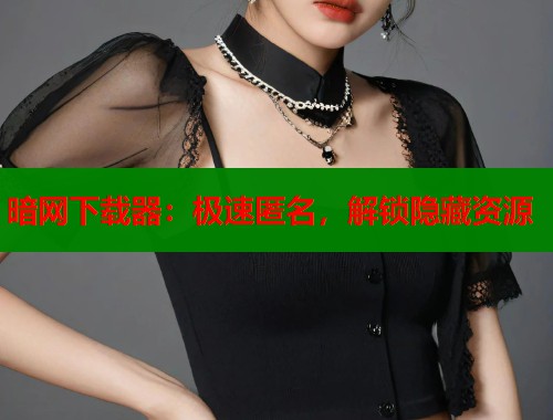 暗网下载器：极速匿名，解锁隐藏资源