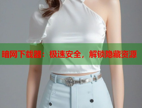 暗网下载器：极速安全，解锁隐藏资源  第2张