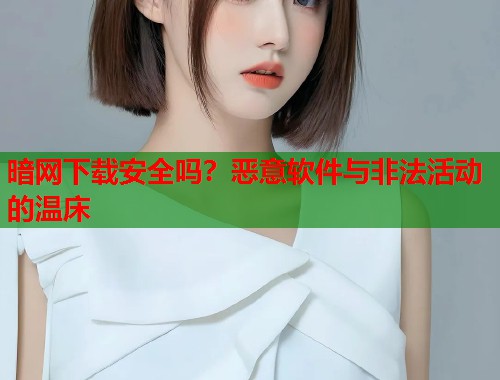 暗网下载安全吗？恶意软件与非法活动的温床  第2张
