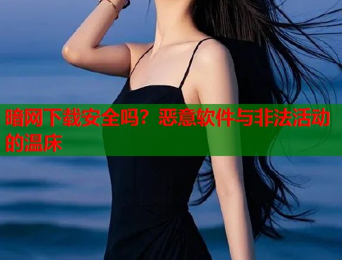 暗网下载安全吗？恶意软件与非法活动的温床  第1张