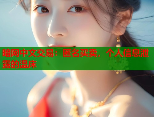 暗网中文交易：匿名买卖，个人信息泄露的温床  第1张