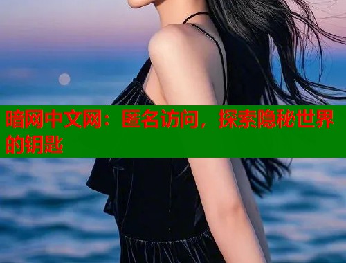 暗网中文网：匿名访问，探索隐秘世界的钥匙  第2张