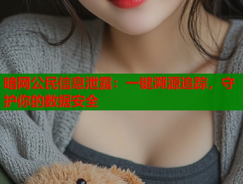 暗网公民信息泄露：一键溯源追踪，守护你的数据安全