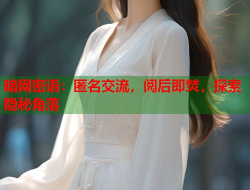 暗网密语：匿名交流，阅后即焚，探索隐秘角落