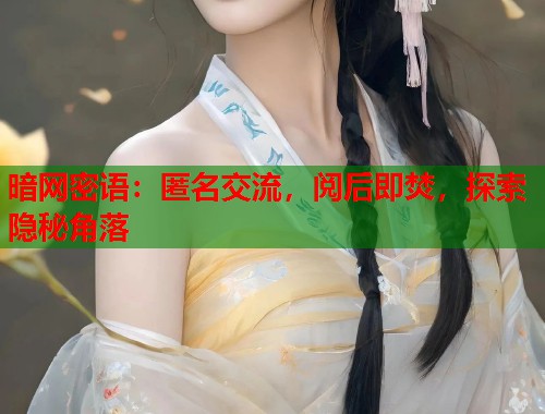 暗网密语：匿名交流，阅后即焚，探索隐秘角落  第2张