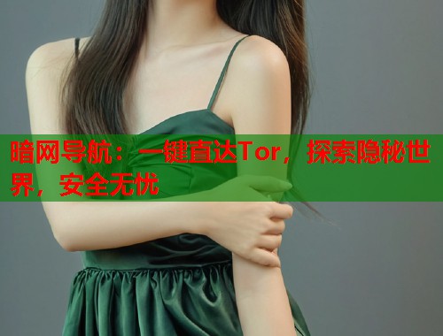 暗网导航：一键直达Tor，探索隐秘世界，安全无忧  第1张
