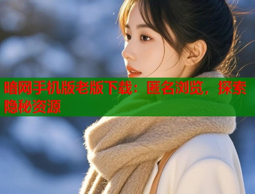 暗网手机版老版下载：匿名浏览，探索隐秘资源  第2张