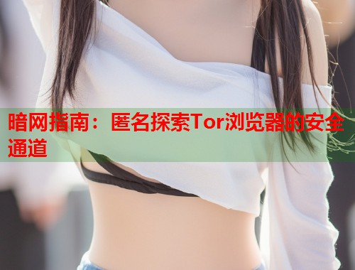 暗网指南：匿名探索Tor浏览器的安全通道