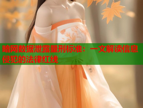 暗网数据泄露量刑标准：一文解读信息侵犯的法律红线