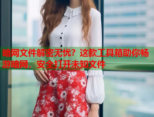暗网文件解密无忧？这款工具箱助你畅游暗网，安全打开未知文件