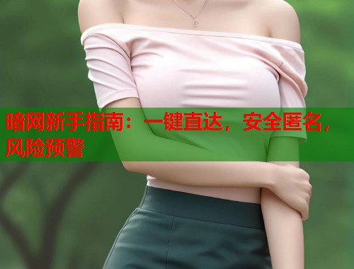 暗网新手指南：一键直达，安全匿名，风险预警