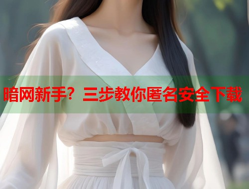 暗网新手？三步教你匿名安全下载