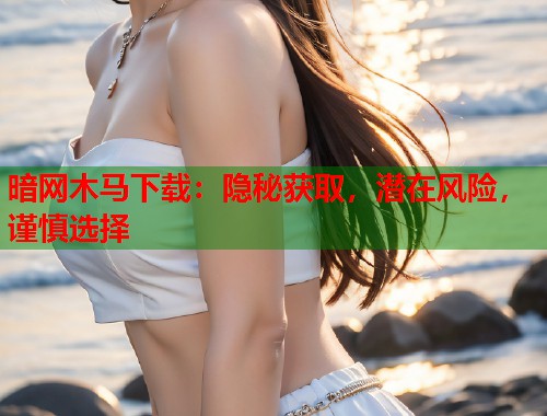 暗网木马下载：隐秘获取，潜在风险，谨慎选择