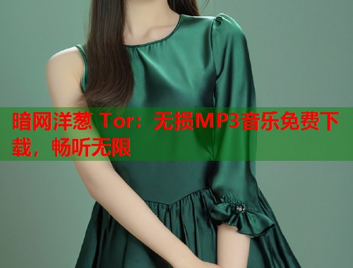 暗网洋葱 Tor：无损MP3音乐免费下载，畅听无限