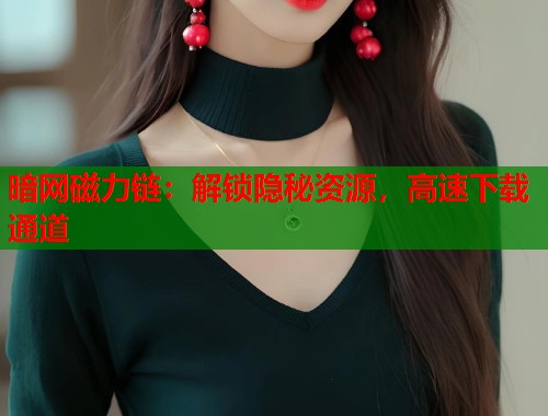暗网磁力链：解锁隐秘资源，高速下载通道  第2张