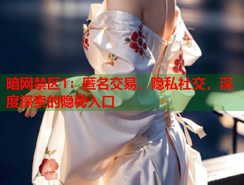 暗网禁区1：匿名交易，隐私社交，深度探索的隐秘入口  第1张