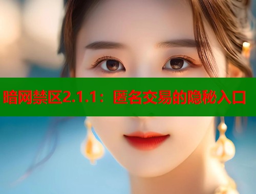 暗网禁区2.1.1：匿名交易的隐秘入口