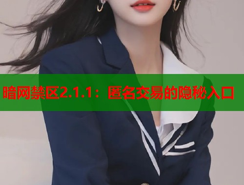 暗网禁区2.1.1：匿名交易的隐秘入口  第2张