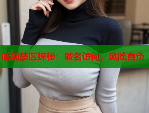暗网禁区探秘：匿名访问，风险自负  第2张