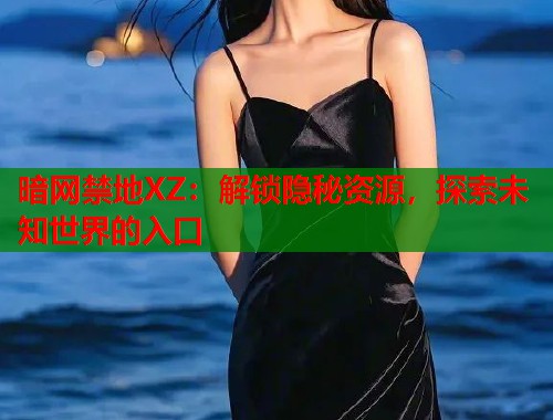 暗网禁地XZ：解锁隐秘资源，探索未知世界的入口  第1张