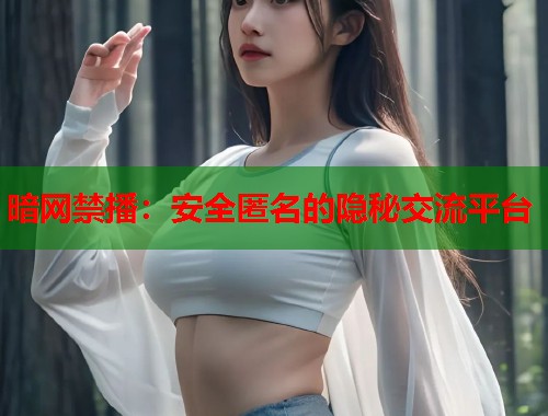 暗网禁播：安全匿名的隐秘交流平台