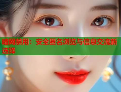暗网禁用：安全匿名浏览与信息交流新选择  第2张