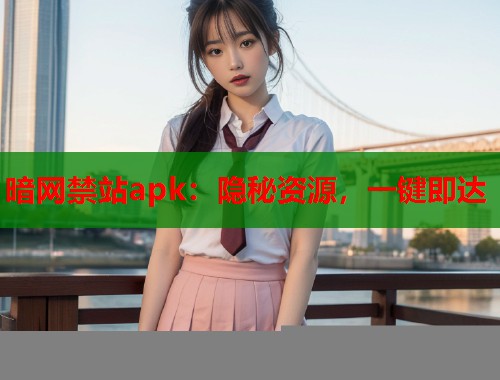 暗网禁站apk：隐秘资源，一键即达  第2张