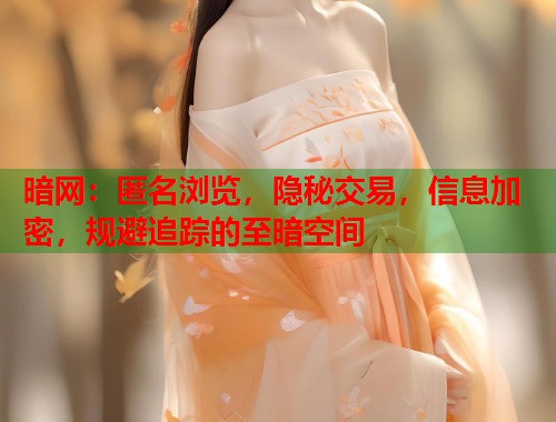 暗网：匿名浏览，隐秘交易，信息加密，规避追踪的至暗空间