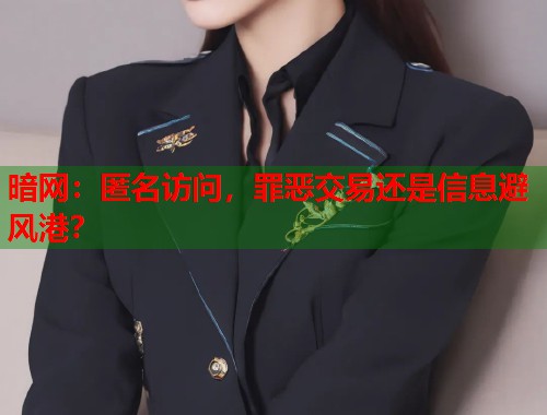 暗网：匿名访问，罪恶交易还是信息避风港？  第2张