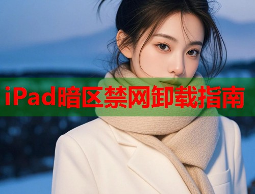 iPad暗区禁网卸载指南