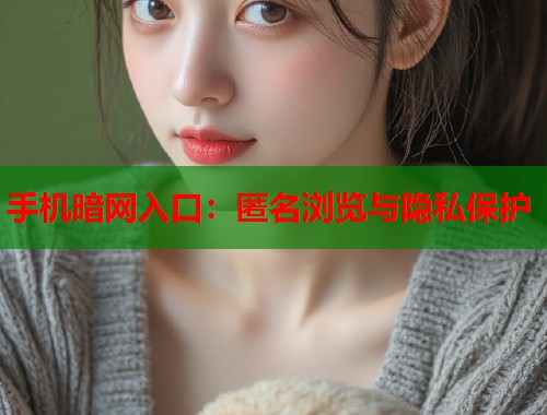 手机暗网入口：匿名浏览与隐私保护  第2张